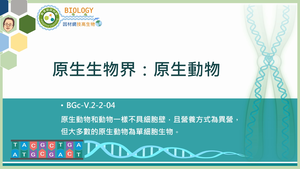 BGc-V.2-2-04_原生生物界：原生動物縮圖