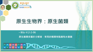 BGc-V.2-2-06_原生生物界：原生菌類縮圖