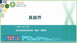 BGc-V.2-2-07_真菌界縮圖
