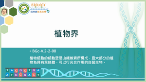 BGc-V.2-2-08_植物界縮圖