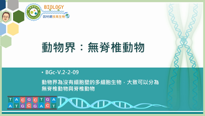 BGc-V.2-2-09_動物界：無脊椎動物縮圖