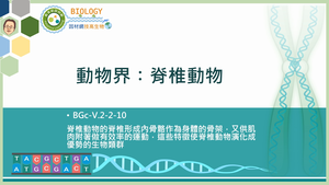 BGc-V.2-2-10_動物界：脊椎動物縮圖