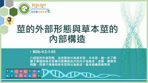 BDb-V.2-1-03_莖的外部形態與草本莖的內部構造縮圖