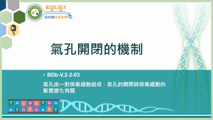 BDb-V.2-2-03_氣孔開閉的機制縮圖