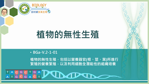 BGa-V.2-1-01_植物的無性生殖縮圖