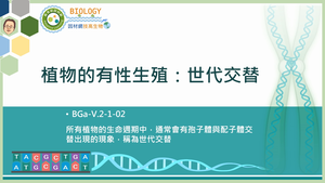 BGa-V.2-1-02_植物的有性生殖：世代交替縮圖