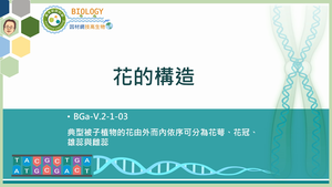 BGa-V.2-1-03_花的構造縮圖