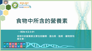 BDb-V.2-3-01_食物中所含的營養素縮圖