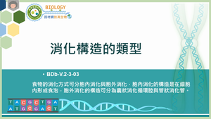 BDb-V.2-3-03_消化構造的類型縮圖