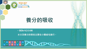 BDb-V.2-3-06_養分的吸收縮圖