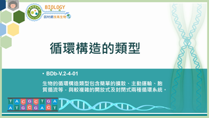 BDb-V.2-4-01_循環構造的類型縮圖