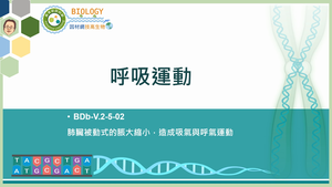 BDb-V.2-5-02_呼吸運動縮圖