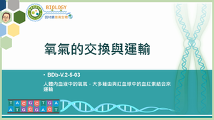 BDb-V.2-5-03_氧氣的交換與運輸縮圖