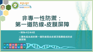 BDb-V.2-6-02_非專一性防禦：第一道防線―皮膜屏障縮圖