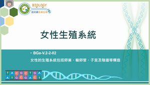 BGa-V.2-2-02_女性生殖系統縮圖