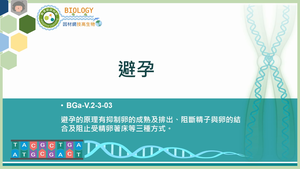 BGa-V.2-3-03_避孕縮圖