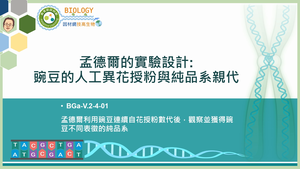 BGa-V.2-4-01_孟德爾的實驗設計：豌豆的人工異花授粉與純品系親代縮圖