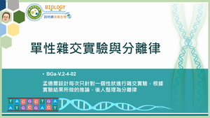 BGa-V.2-4-02_單性雜交實驗與分離律縮圖