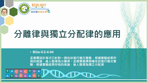 BGa-V.2-4-04_分離律與獨立分配律的應用縮圖