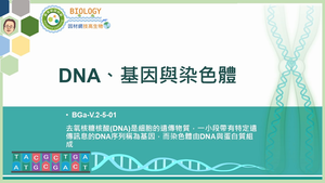 BGa-V.2-5-01_DNA、基因與染色體縮圖