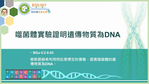 BGa-V.2-5-03_噬菌體實驗證明遺傳物質為DNA縮圖