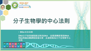 BGa-V.2-5-08_分子生物學的中心法則縮圖