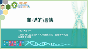 BGa-V.2-6-01_血型的遺傳縮圖