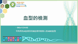 BGa-V.2-6-02_血型的檢測縮圖