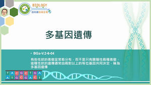 BGa-V.2-6-04_多基因遺傳縮圖