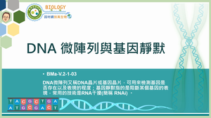 BMa-V.2-1-03_DNA微陣列與基因靜默縮圖