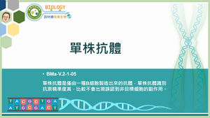 BMa-V.2-1-05_單株抗體縮圖