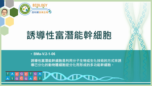 BMa-V.2-1-06_誘導性富潛能幹細胞縮圖