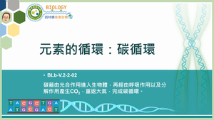 BLb-V.2-2-02_元素的循環：碳循環縮圖