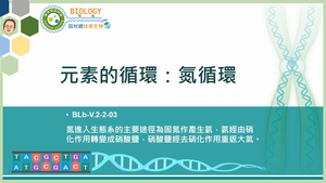 BLb-V.2-2-03_元素的循環：氮循環-資源代表圖