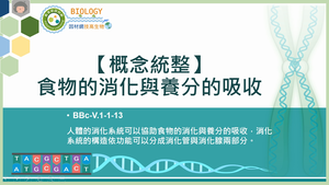 BBc-V.1-1-13_【概念統整】食物的消化與養分的吸收縮圖