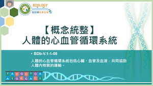 BDb-V.1-1-08_【概念統整】人體的心血管循環系統縮圖
