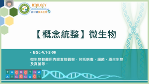 BGc-V.1-2-06_【概念統整】微生物縮圖