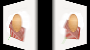 Napkin-資源代表圖