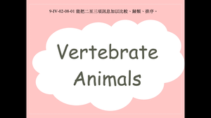 Vertebrate Animals縮圖