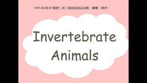 Invertebrate Animals縮圖