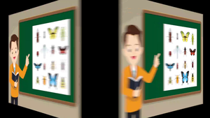 The Insect Group縮圖