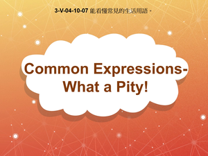 3-Ⅴ-04-10-07 Common Expressions- What a pity!縮圖