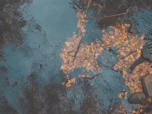 3-Ⅴ-14-10-02 Ostriches in Taiwan縮圖