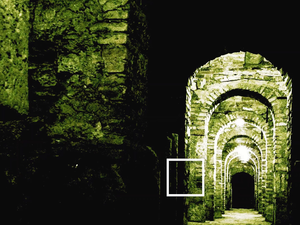 3-Ⅴ-14-10-04 Paleontologists縮圖