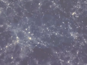 3-Ⅴ-02-11-02 Flight: Arrival縮圖