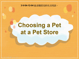 3-Ⅴ-04-12-04 Choosing A Pet at the Pet Store縮圖