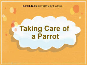 3-Ⅴ-04-12-05 Taking Care of a Parrot縮圖