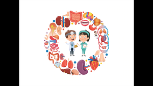 Vital Organs-資源代表圖