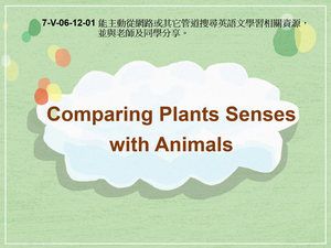 7-Ⅴ-06-12-01 Comparing Plants Senses With Animals縮圖