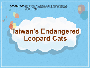 8-Ⅴ-01-12-03 Taiwan's Endangered Leopard Cats縮圖